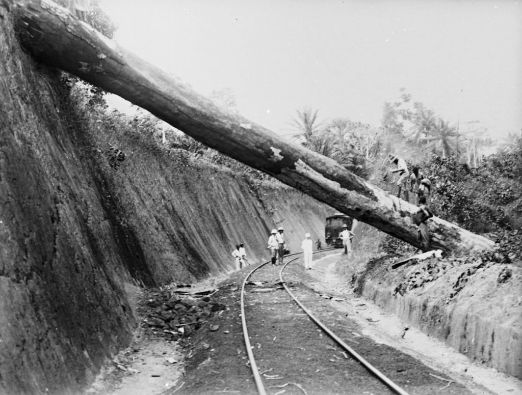 Baumstamm Schienen Kleidung Nordbahn