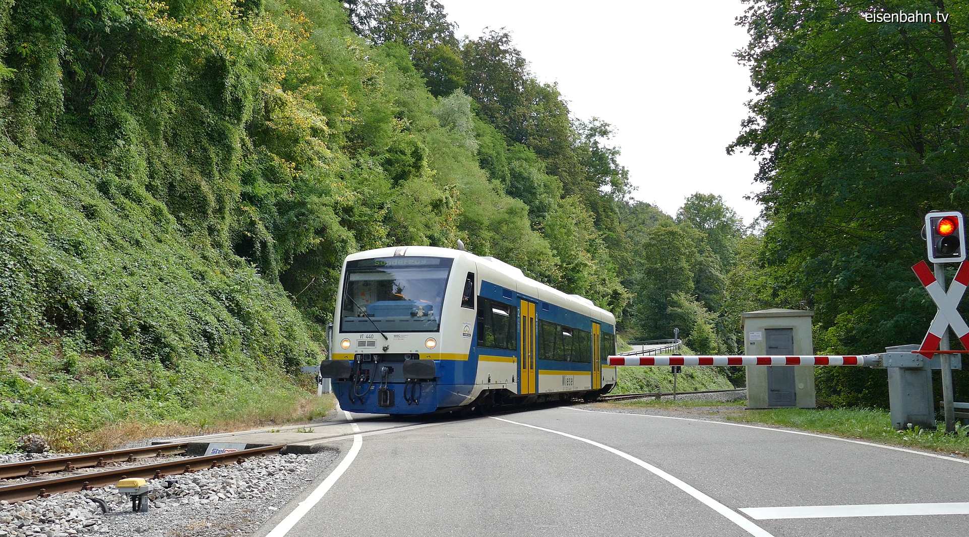 Der Wiesel auf der Strecke nach Welzheim